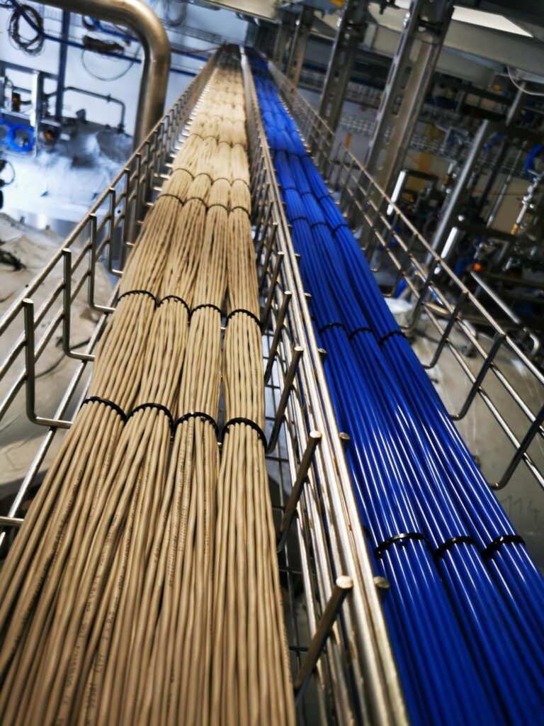 NOVARTIS Bau 201 / RPP1 C – Projekteindruck 4